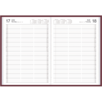 COLLINS APPOINTMENT DIARY 2 Pages To A Day A4 Burgundy