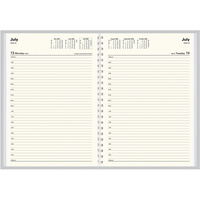 COLLINS VANESSA DIARY Day To Page A4 Assorted
