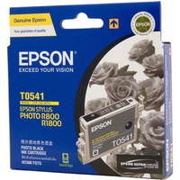 EPSON INK CARTRIDGE C13T054190 - T0541 Black