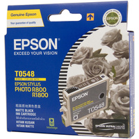 EPSON INK CARTRIDGE C13T054890 - T0548 Black