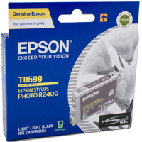 EPSON INK CARTRIDGE C13T059990 - T0599 Black