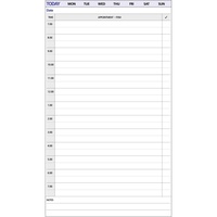 DEBDEN DAYPLANNER REFILL Undated 1 Day To Page 216X140Mm