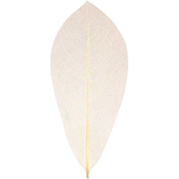 ZART NATURAL SKELETON LEAVES Beige Pack of 100